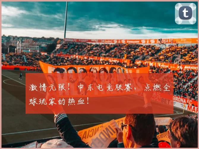 激情无限！中东电竞联赛，点燃全球玩家的热血！