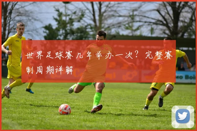 世界足球赛几年举办一次？完整赛制周期详解