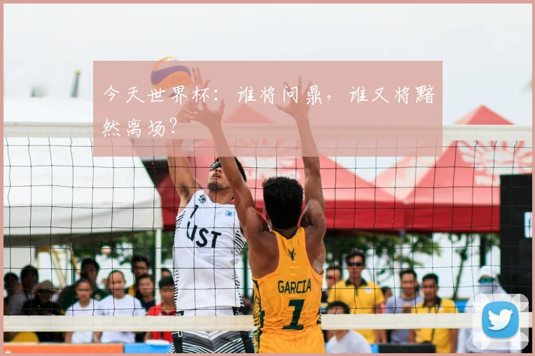 今天世界杯：谁将问鼎，谁又将黯然离场？